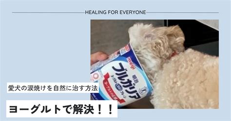 愛犬の涙やけを根本から解決しましょう！