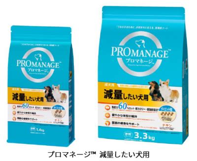 愛犬の減量をサポートする：最適なダイエットフードを選ぶための徹底ガイド