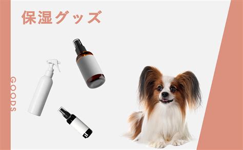 愛犬の皮膚と被毛のタイプ：