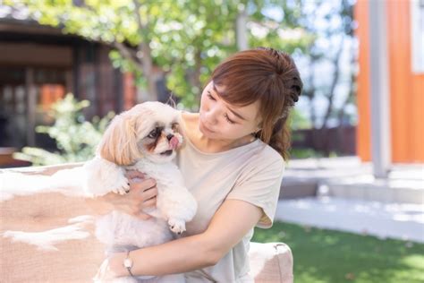 愛犬への愛情表現：