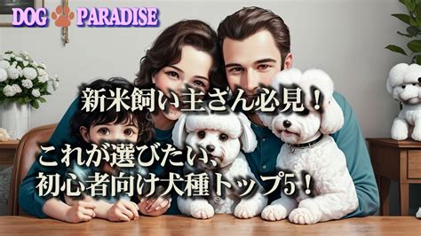 愛犬をおしゃれに演出！「おしゃれな犬種」徹底解説