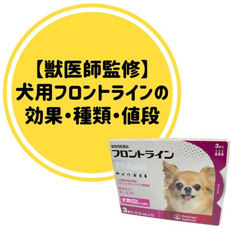 愛犬をワクチンで守ろう！種類・スケジュール・メリット・デメリット徹底解説