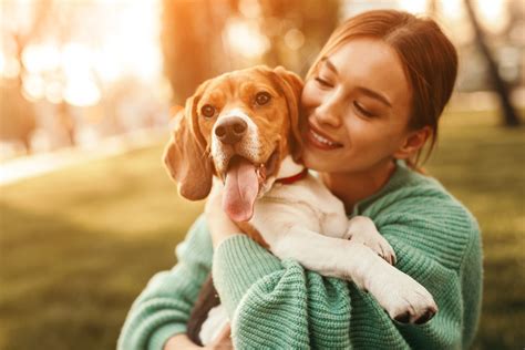 愛犬を亡くした悲しみと乗り越えるためのガイド