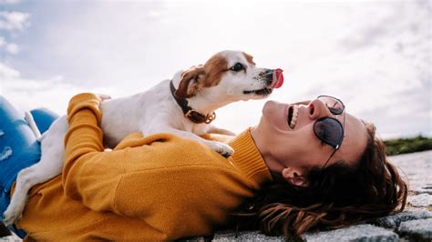 愛犬を夢の中で探す：その意味と対処法