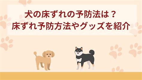 愛犬を守る！犬の床ずれの原因、予防、治療法を徹底解説