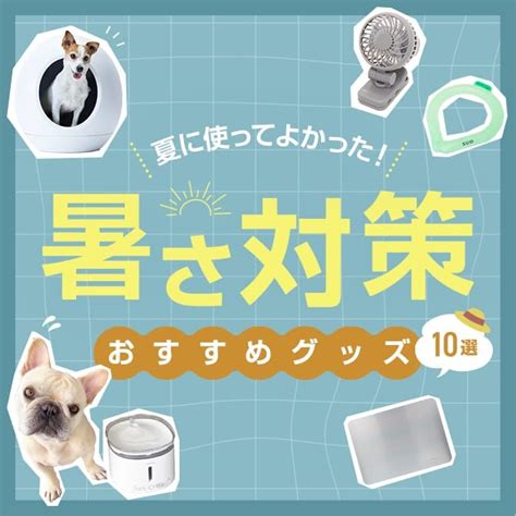 愛犬を快適に！暑さ対策ひんやりグッズ10選