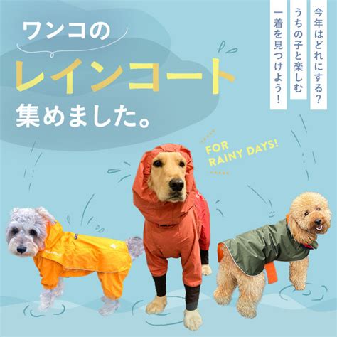 愛犬を雨から守る必須アイテム！犬用レインコート選び方・おすすめ10選