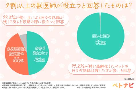 愛犬チワワ16歳の健康管理と介護のすべて