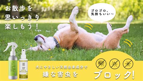 愛犬・愛猫の大敵、害虫から守る