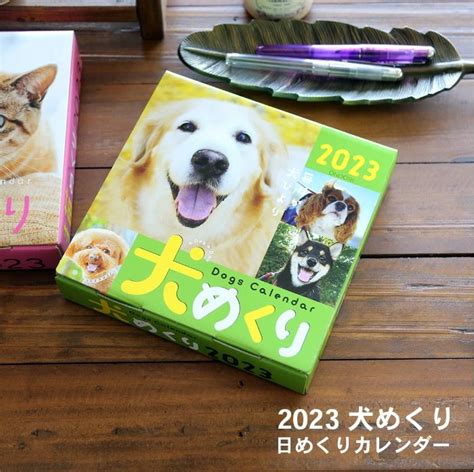 愛犬家必見！日めくりカレンダーで愛犬の毎日を彩ろう