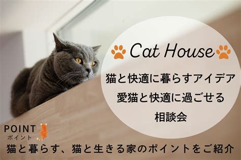 愛猫と快適にカバン生活 - 猫のいるカバンライフの利点