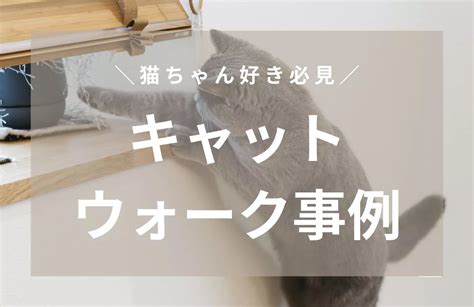 愛猫に快適さとスタイルを！キャットウェアのすべて