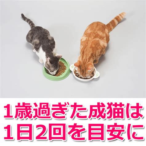 愛猫に1日1本ずつ与える: