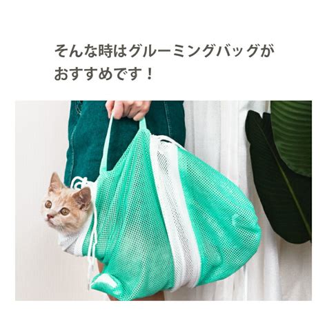 愛猫のお手入れを楽々快適に！キャット グルーミング バッグ活用術