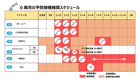 愛猫のための予防接種：種類、スケジュール、費用