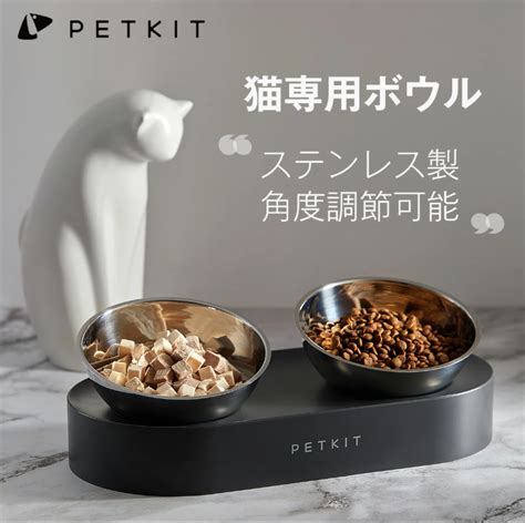 愛猫の健康と快適さを守る！エバークリーン猫砂の徹底ガイド