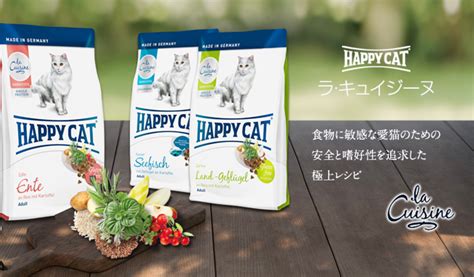 愛猫の健康に欠かせない！パウチフードの選び方と賢い活用法