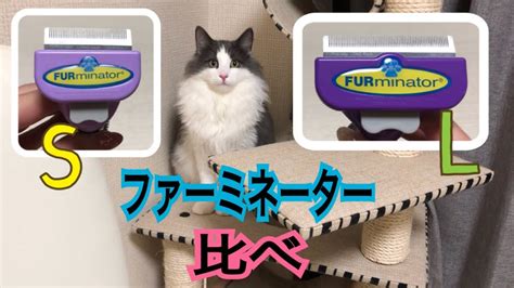 愛猫の毛づくろい革命！猫ファーミネーターの徹底解説