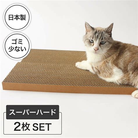 愛猫の爪とぎ問題、ダンボールでスマート解決！