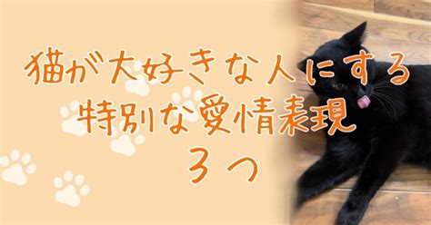 愛猫への特別な愛情表現：