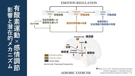 感情の調節: