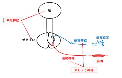 感覚刺激の欠如：