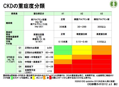 慢性腎不全 (CKD)