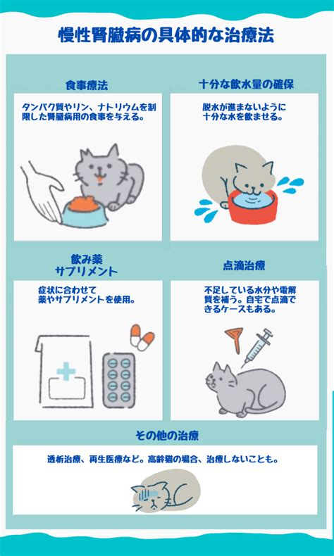 慢性腎臓病の猫のためにできること