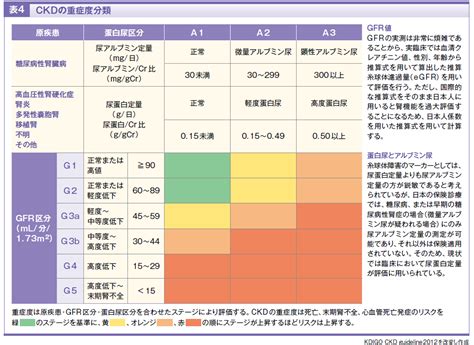 慢性腎臓病（CKD）