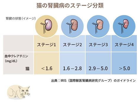 慢性 腎臓 病 猫