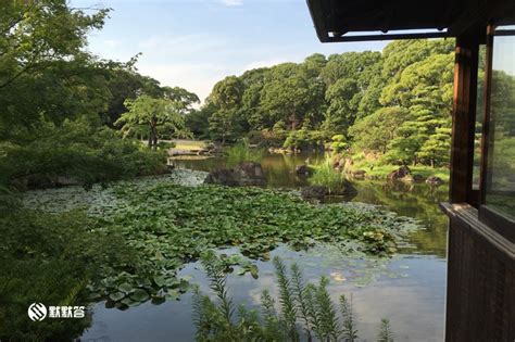 慶 沢 園