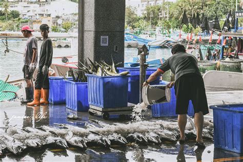 成功漁港的漁獲秘辛