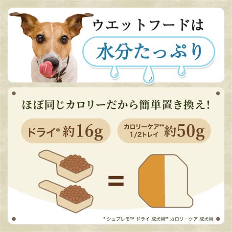 成犬のカロリー要件: