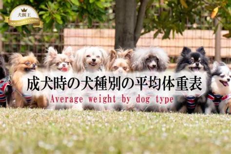 成犬の最適体重の決定