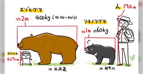 成獣動物のあらゆる面を理解する: 健康、行動、ケア