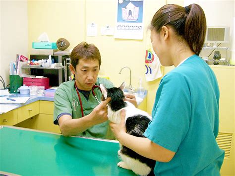 成田の頼れる動物病院：はやし動物病院