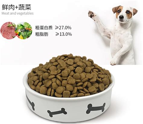 成癮狗糧：對您犬類朋友的危險