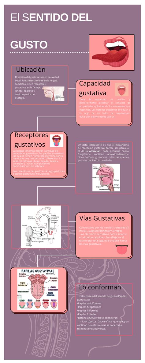 我最愛使用「Gusta」的原因