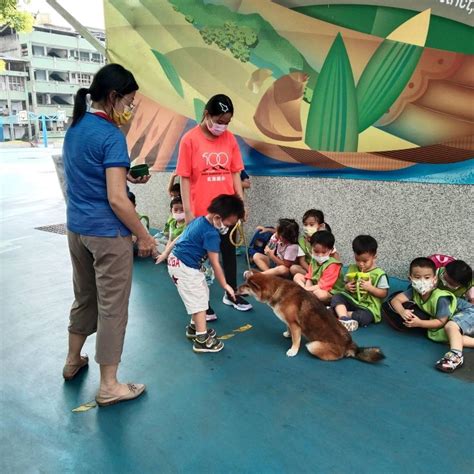 戒除狗糧成癮：邁向健康毛孩之路