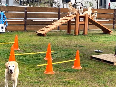 戸田公園にあるスカイパークのドッグランで愛犬とのひとときを充実させよう！