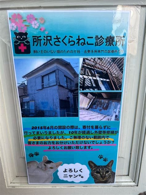 所沢さくらねこ診療所が地域社会に果たす貢献