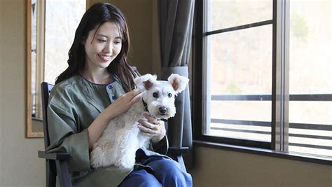 手軽に愛犬自慢ができる