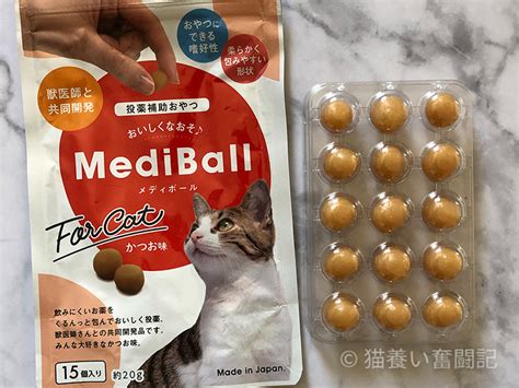 投薬補助猫：猫への投薬を楽にするための効果的な方法