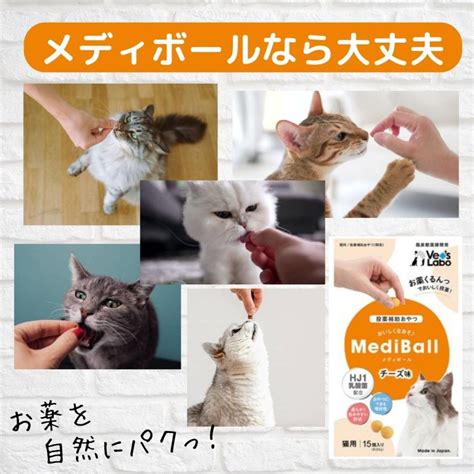 投薬 補助 猫