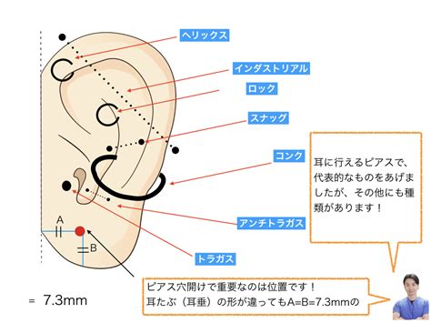 折れた耳