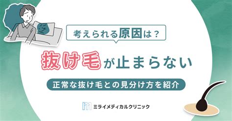 抜け毛が止まらない！効果的な掃除方法と対策の徹底解説