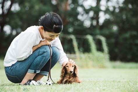 抱っこを嫌がる犬への対処法