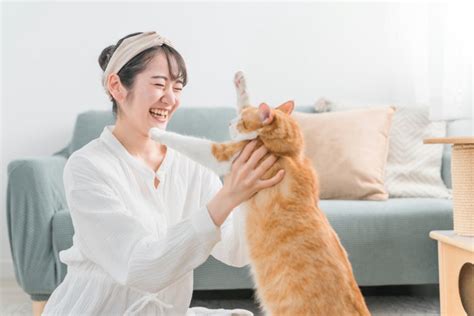 抱っこを嫌がる猫に対して：対処法とヒント