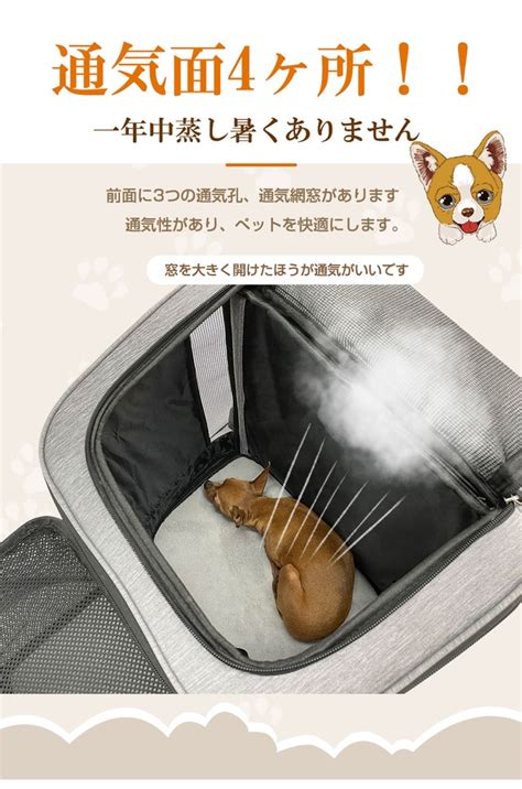 抱っこバッグで愛猫と快適な外出を！