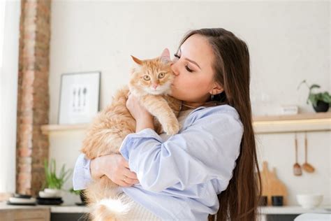 抱っこ嫌いな猫、その心理と対処法